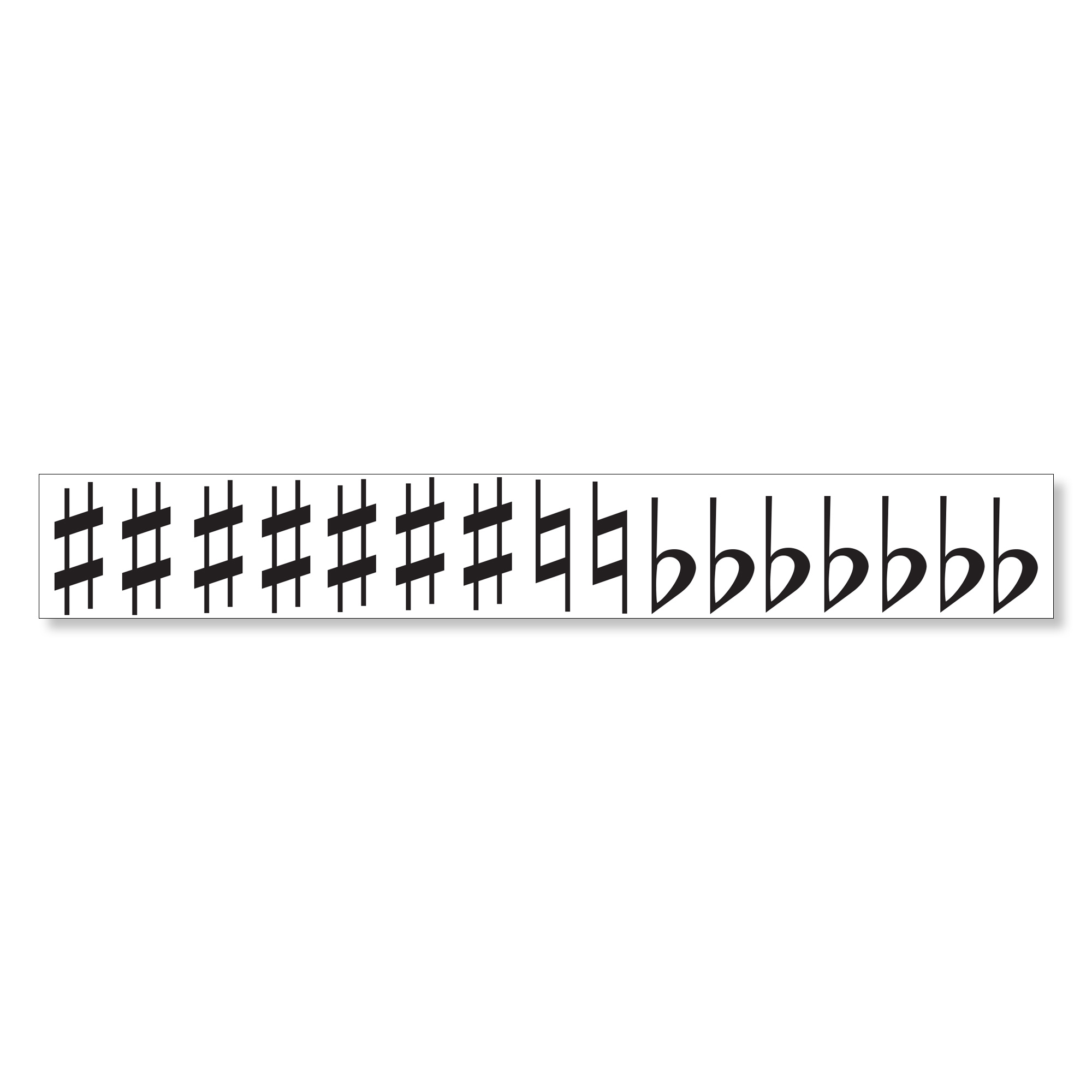 Magnetic Strip